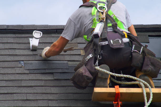 Best Roofing Contractor Near Me  in Johnson Creek, WI