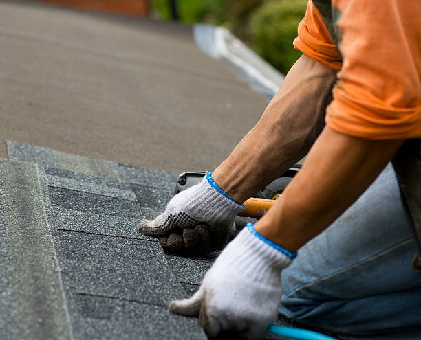 Best Shingle Roofing Installation  in Johnson Creek, WI