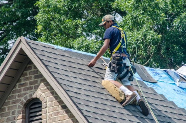 Best Roof Gutter Cleaning  in Johnson Creek, WI